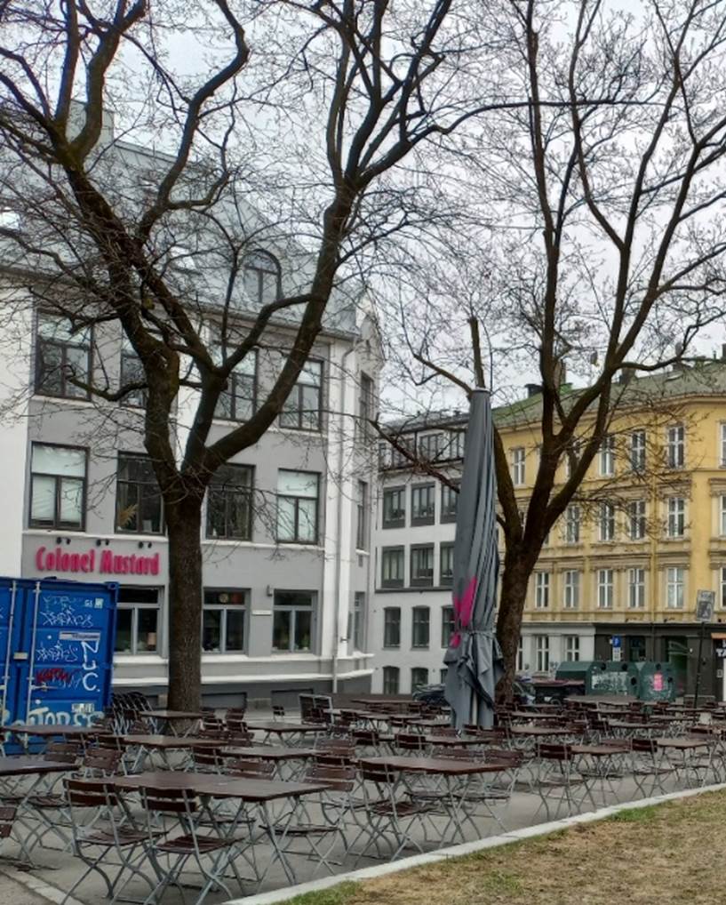 Et bilde som inneholder utendrs, himmel, tre, konstruksjon

Automatisk generert beskrivelse